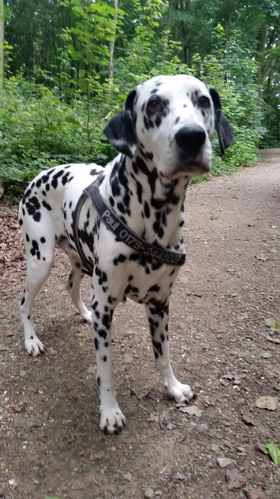 Andachtsbild von Gabi