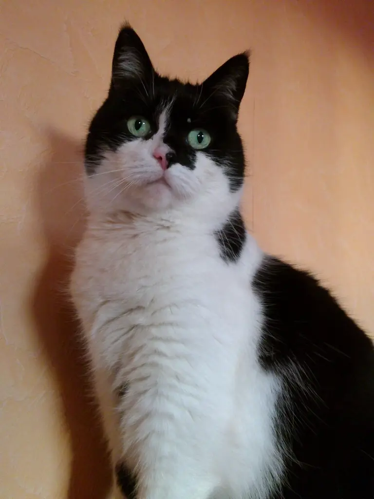 Image from Cleo