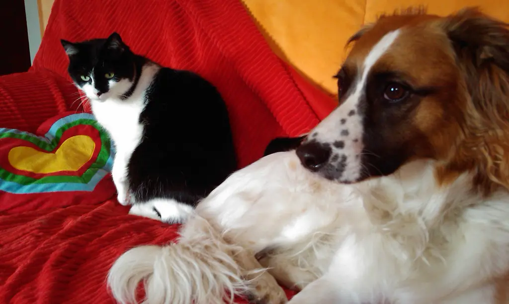 Image from Cleo