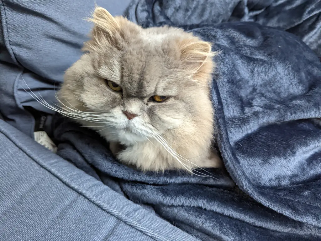 Andachtsbild von Tina mit Gaia