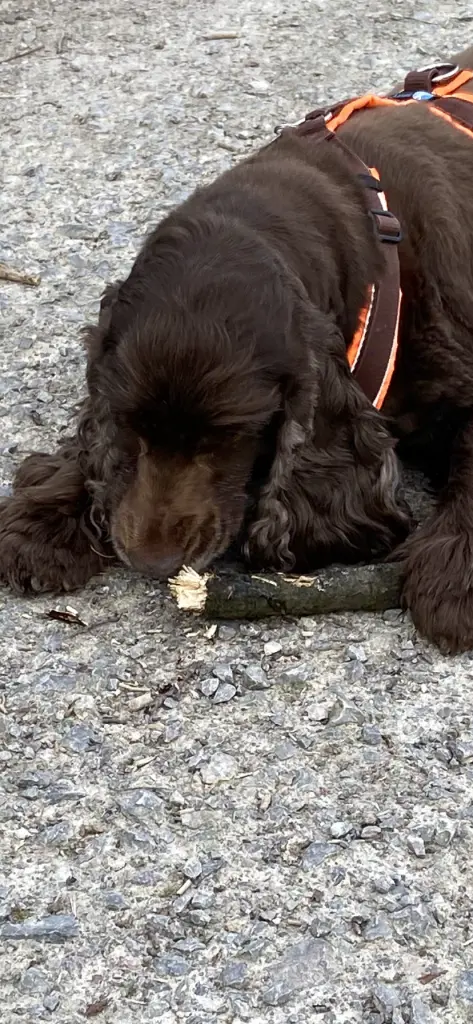 Andachtsbild von Kerstin mit Linus im Himmel