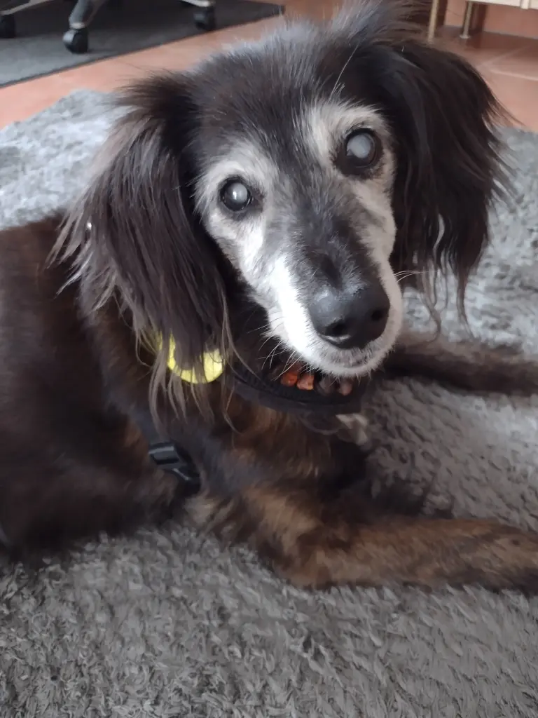 Andachtsbild von Beate mit Ella im ❤️