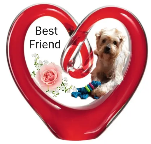 Condolence image of Krzysztof und Ewa mit Jacki tief im Herzen ❤