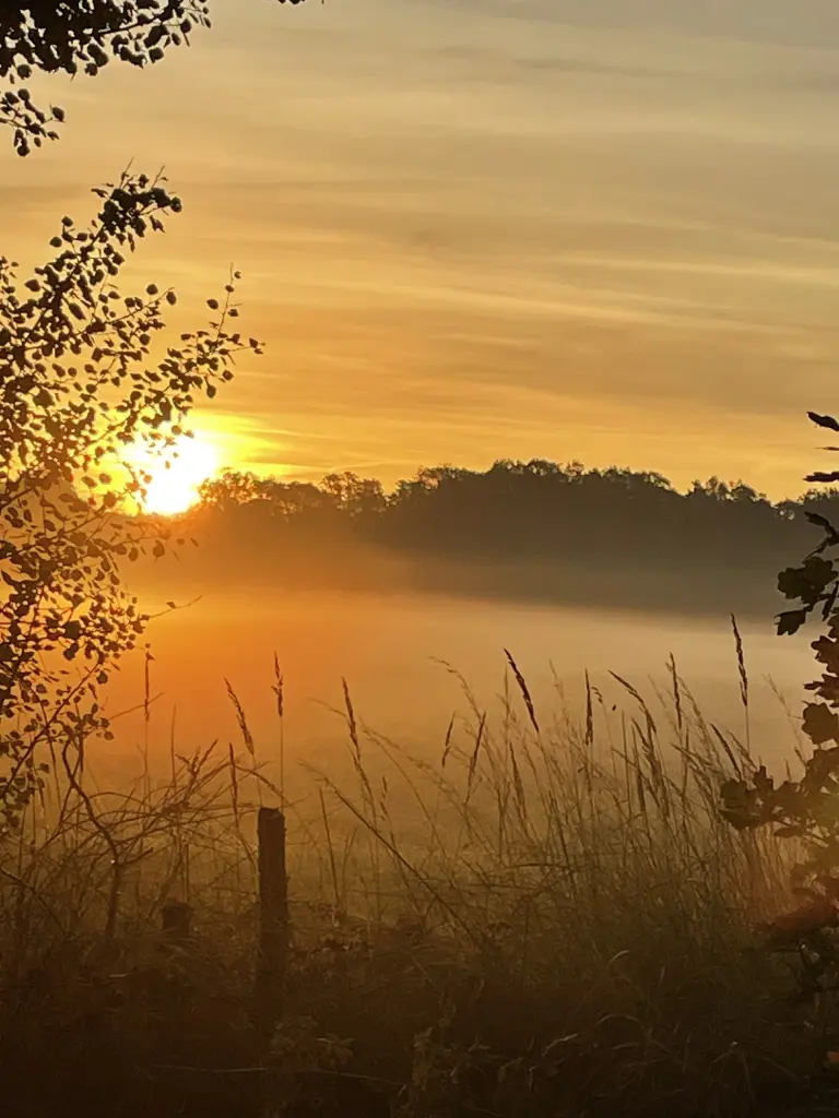 Condolence image of Petra