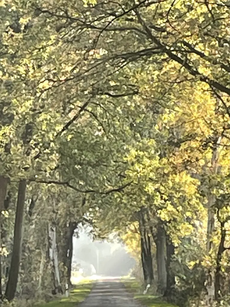 Condolence image of Petra