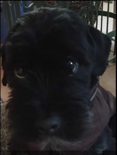 Condolence image of Leonie