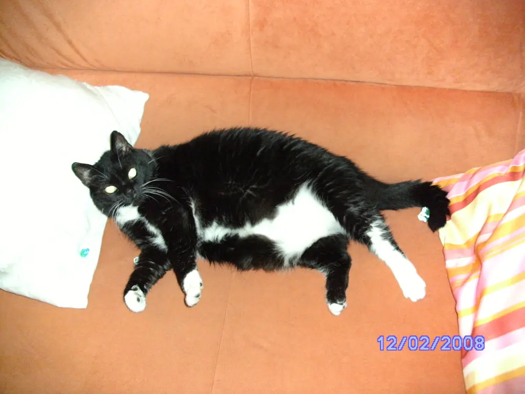 Condolence image of Jeanne - Marie