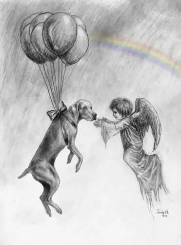 Andachtsbild von Andrea mit Minki im ♥️ gest. 19.10.2020