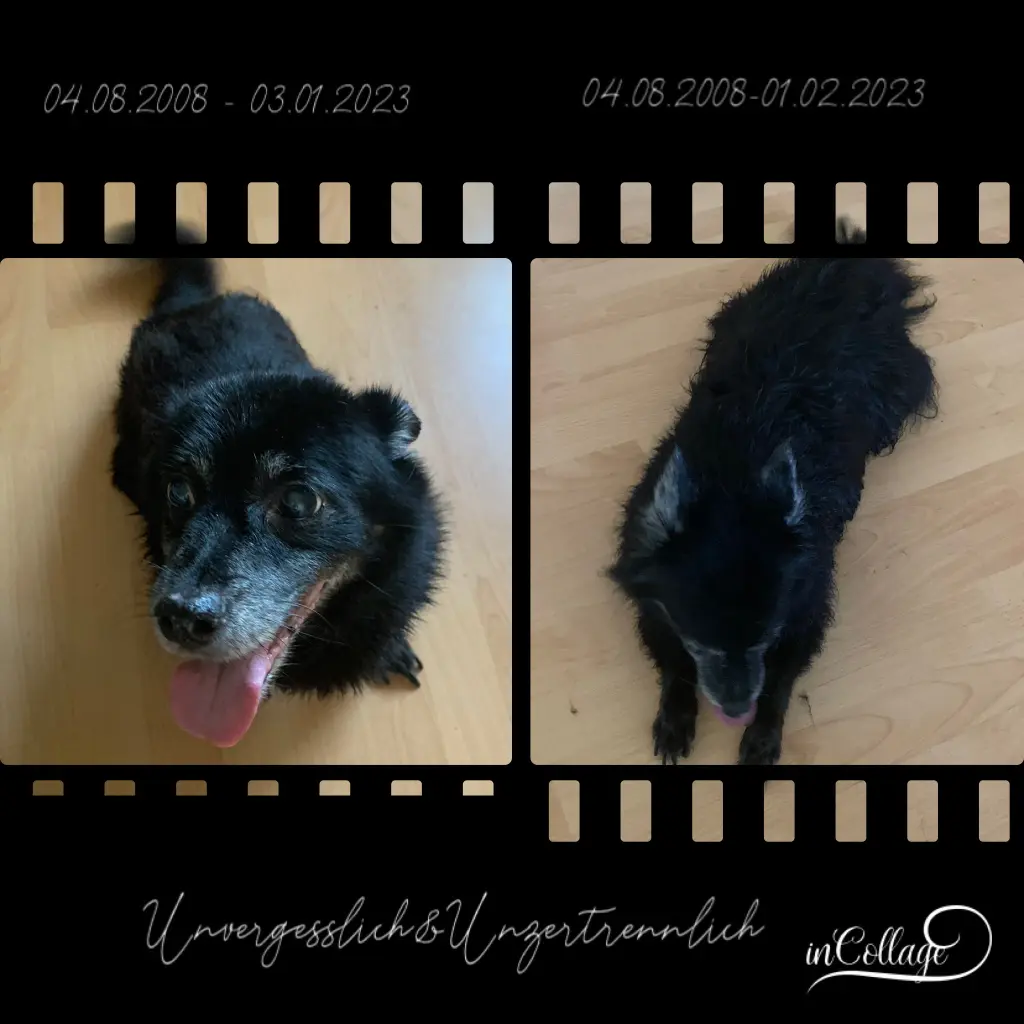 Andachtsbild von Yvonne