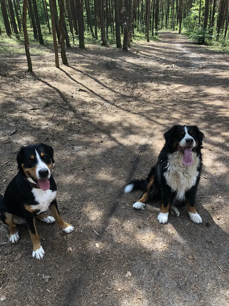 Andachtsbild von Nadine