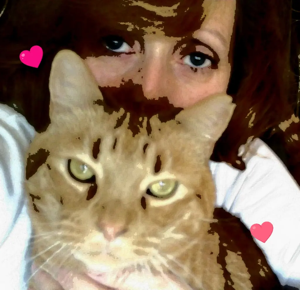 Image from Miou
