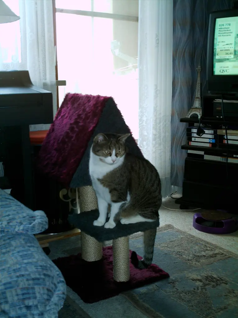 Image from Mucki