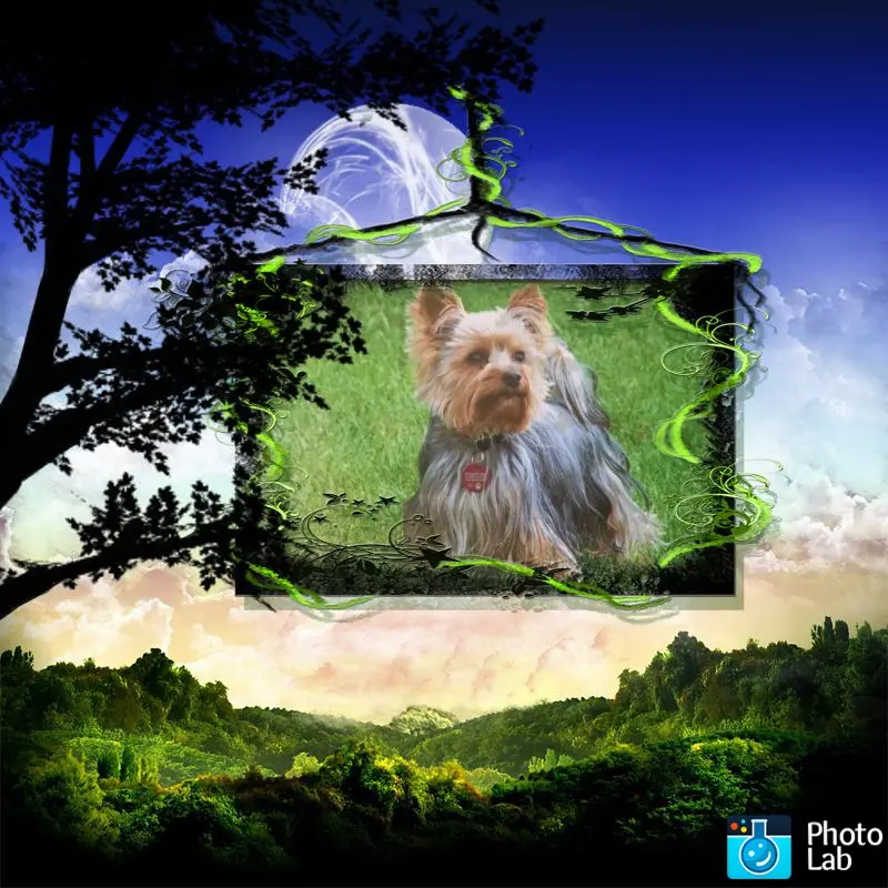 Image from Terry