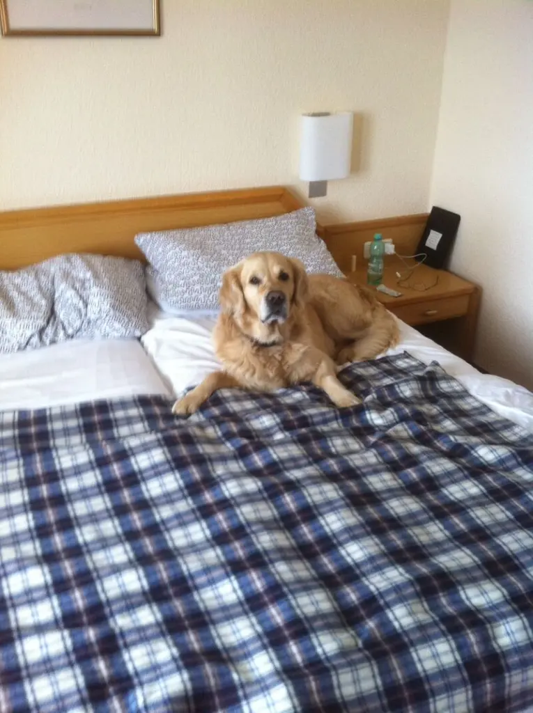 Andachtsbild von Andy und Piet