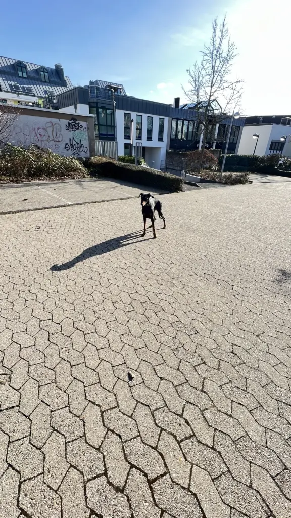 Andachtsbild von Tim Nowinski