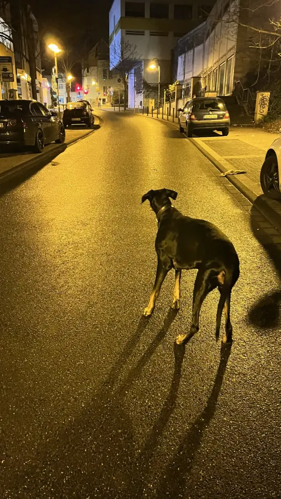 Andachtsbild von Tim