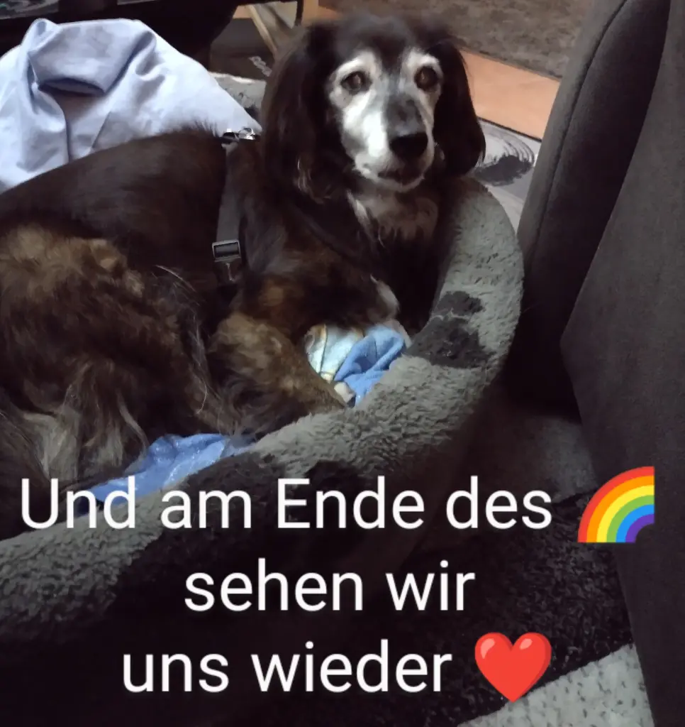 Andachtsbild von Beate mit Ella im ❤️
