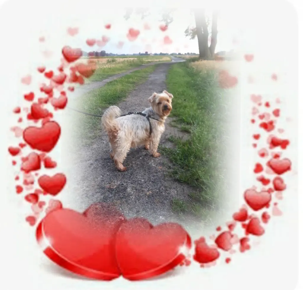 Andachtsbild von Ewa und Krzysztof mit Jacki tief im Herzen ❤