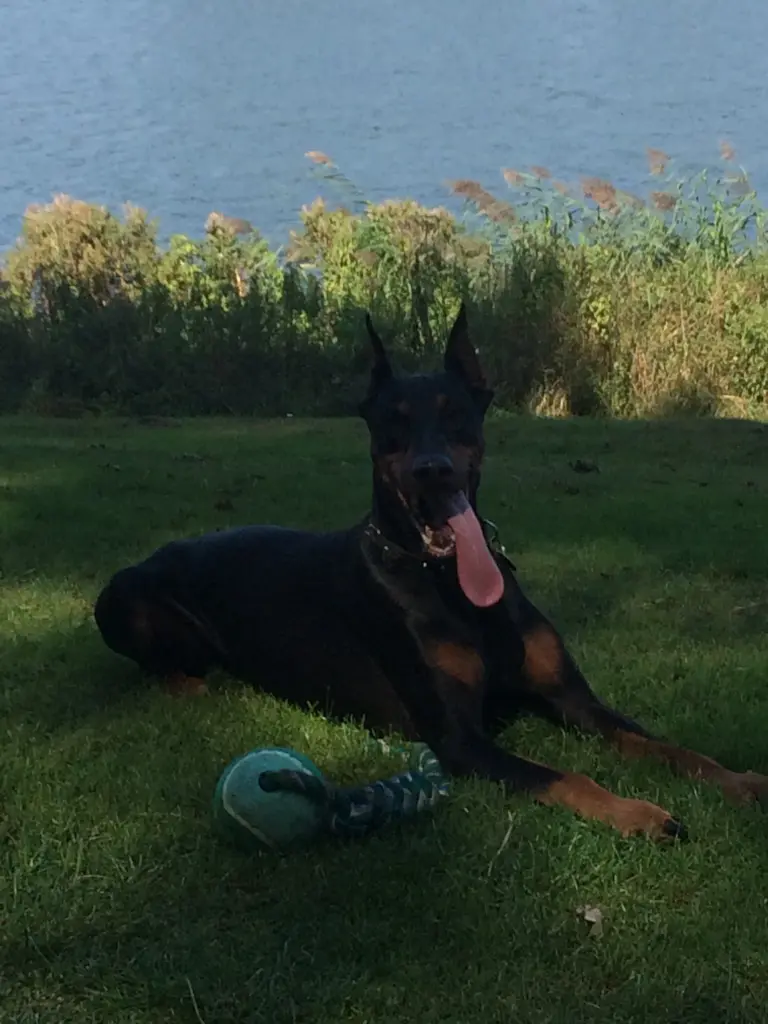 Image from Brutus