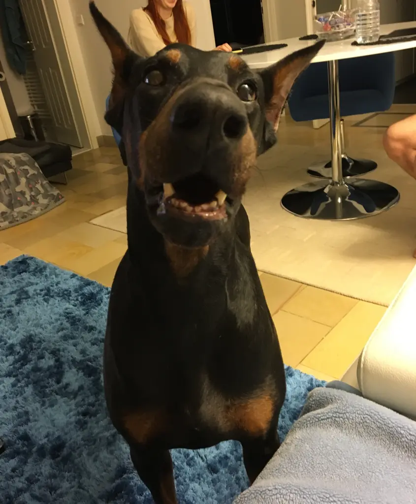 Image from Brutus