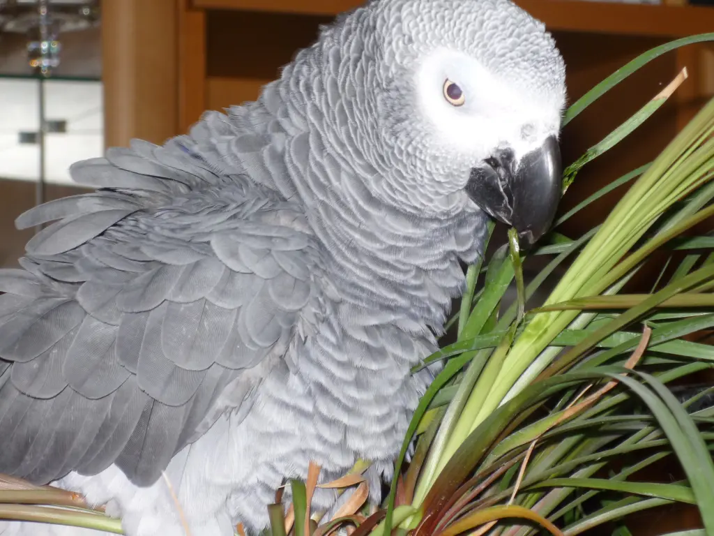 Condolence image of Jutta