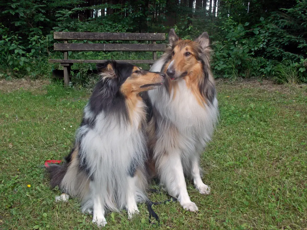 Andachtsbild von Annette und Wilfried 