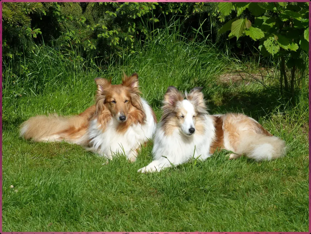 Bild von Ina