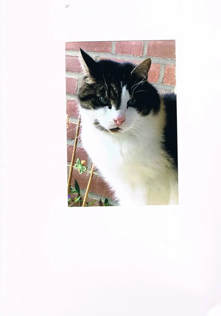 Andachtsbild von Kerstin mit Felix gest.05.04.22