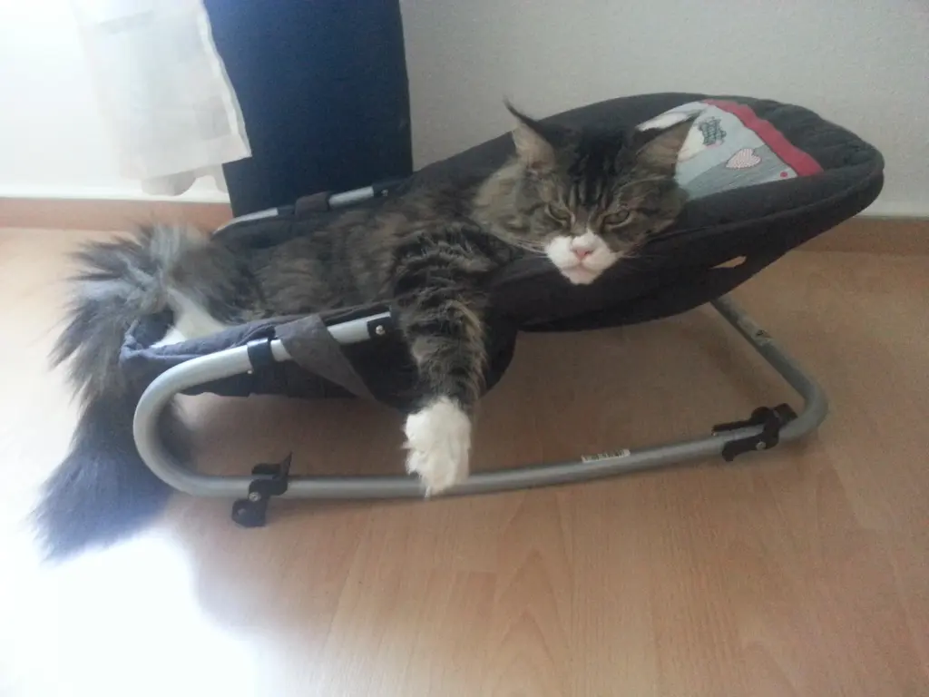 Andachtsbild von Nancy mit Charly im Herzen