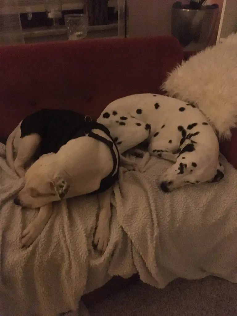 Andachtsbild von Sandra