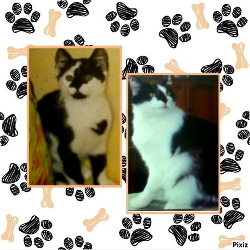 Andachtsbild von Annemarie und Elke mit Snoopy im Herzen gest.04.01.2022