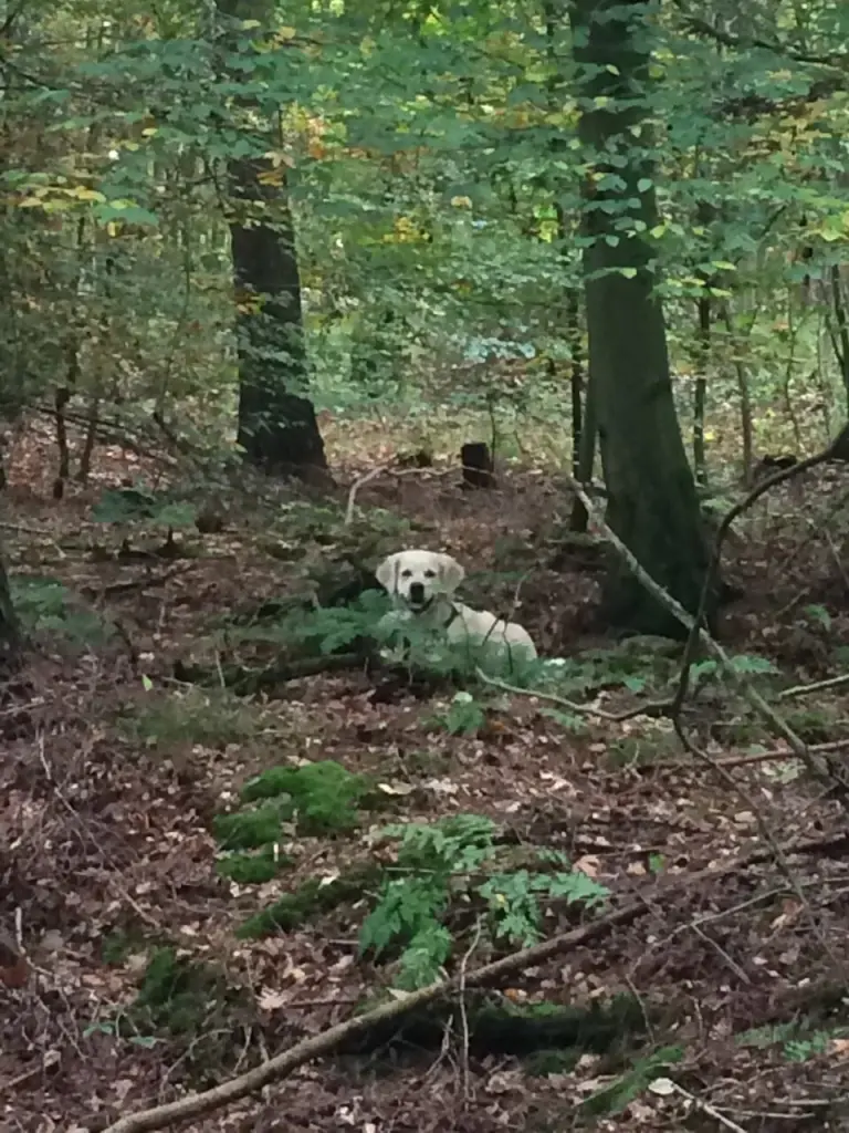 Andachtsbild von Andy und Piet