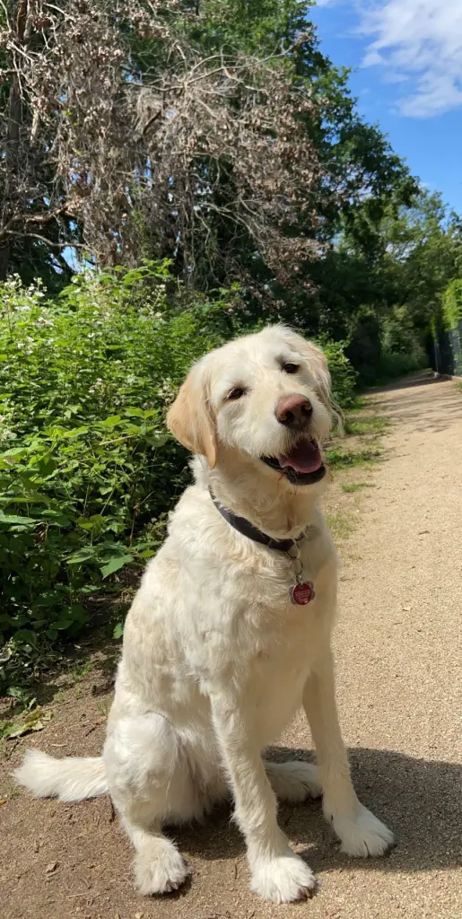 Bild von ♥️Curly♥️