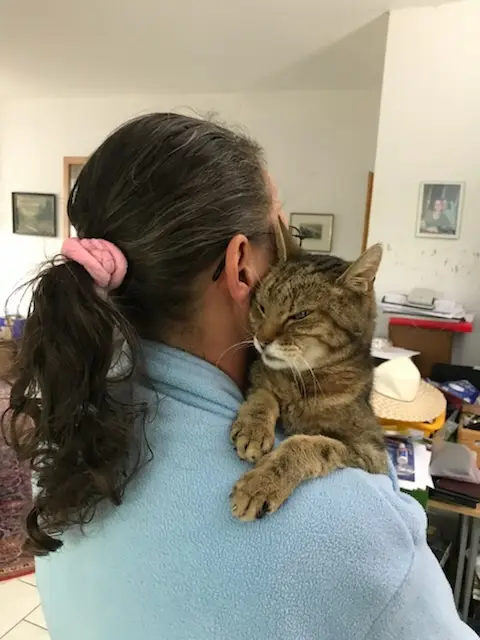 Andachtsbild von Karola 