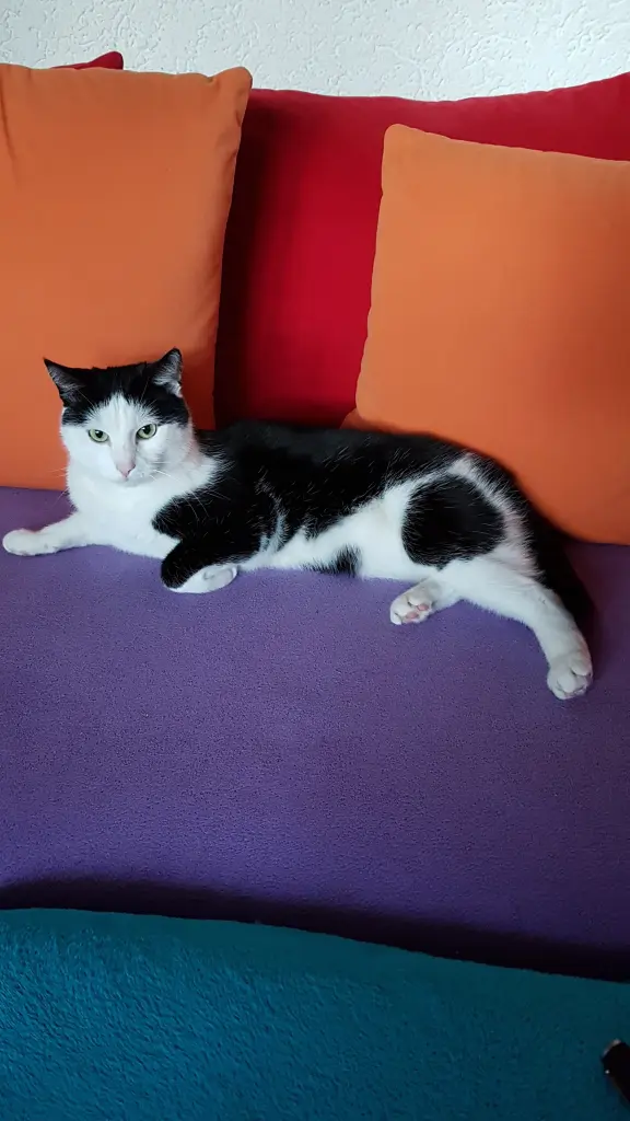 Andachtsbild von Tanja mit Rocky tief im ❤