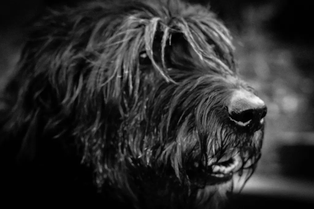 Image from Thor