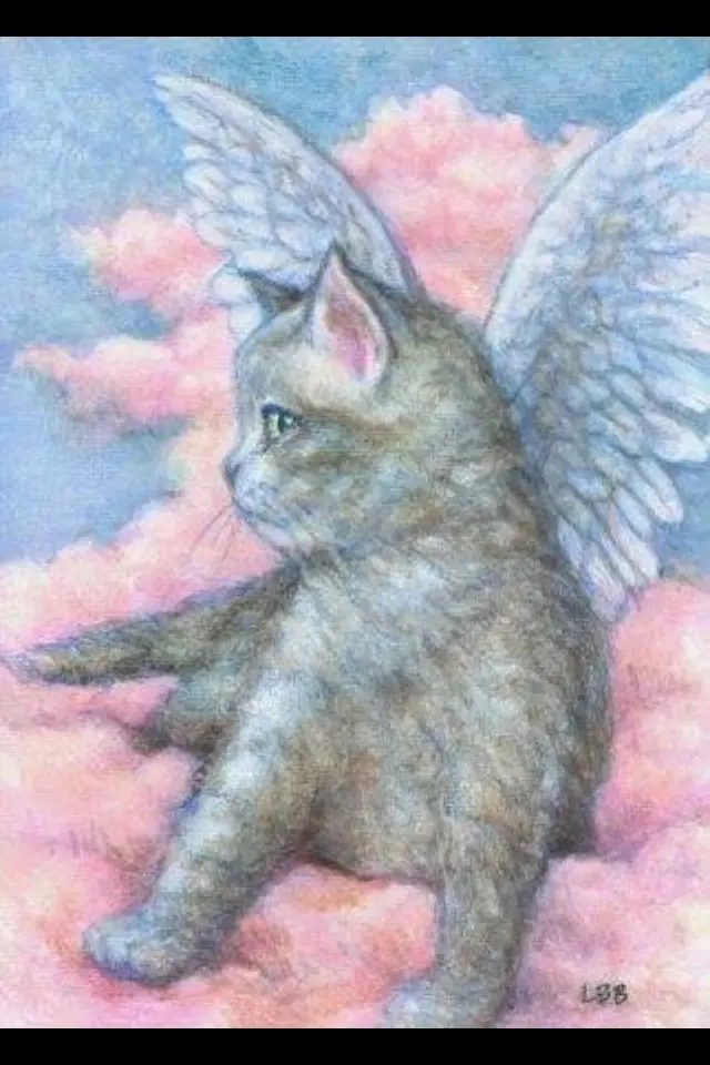 Andachtsbild von Martina mit Seelenhund Samy ♥️⭐♥️ für immer im Herzen