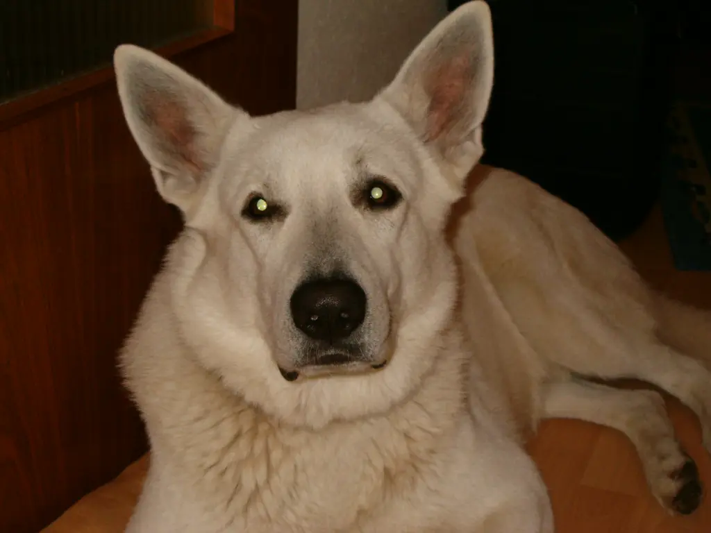 Condolence image of Jürgen m. Diego
