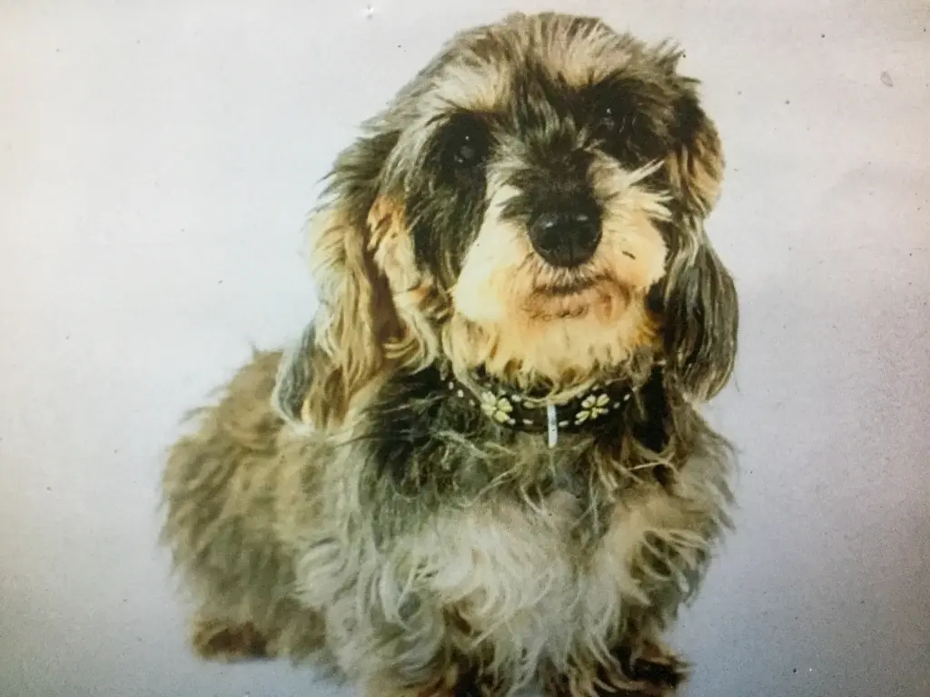 Condolence image of Ulrike