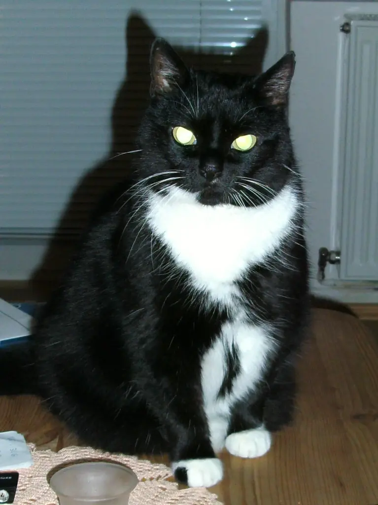 Condolence image of Jeanne - M. mit Teufel im Herzen