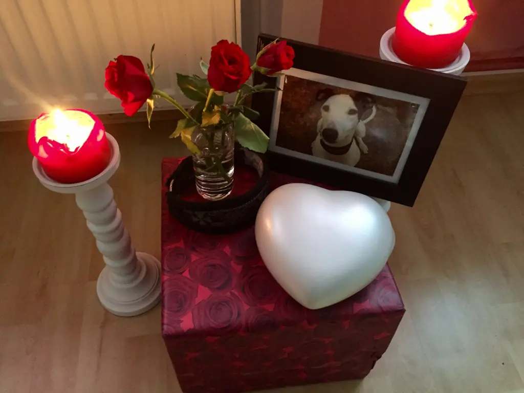 Image from Dotti