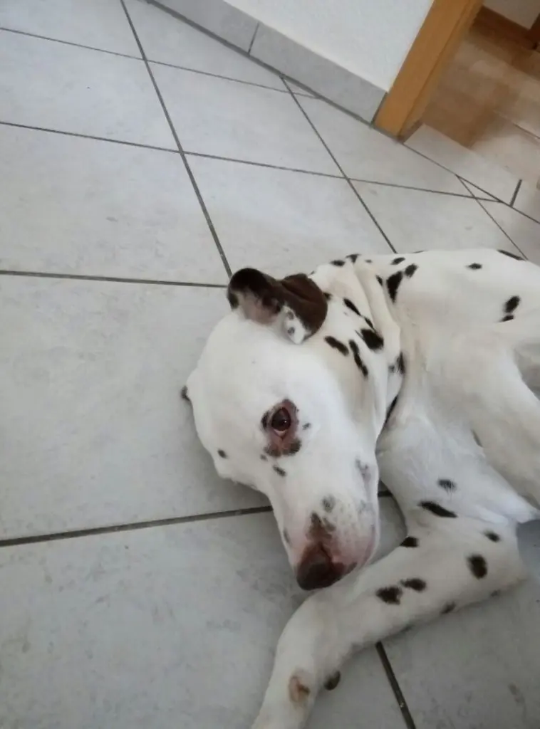 Condolence image of Marco