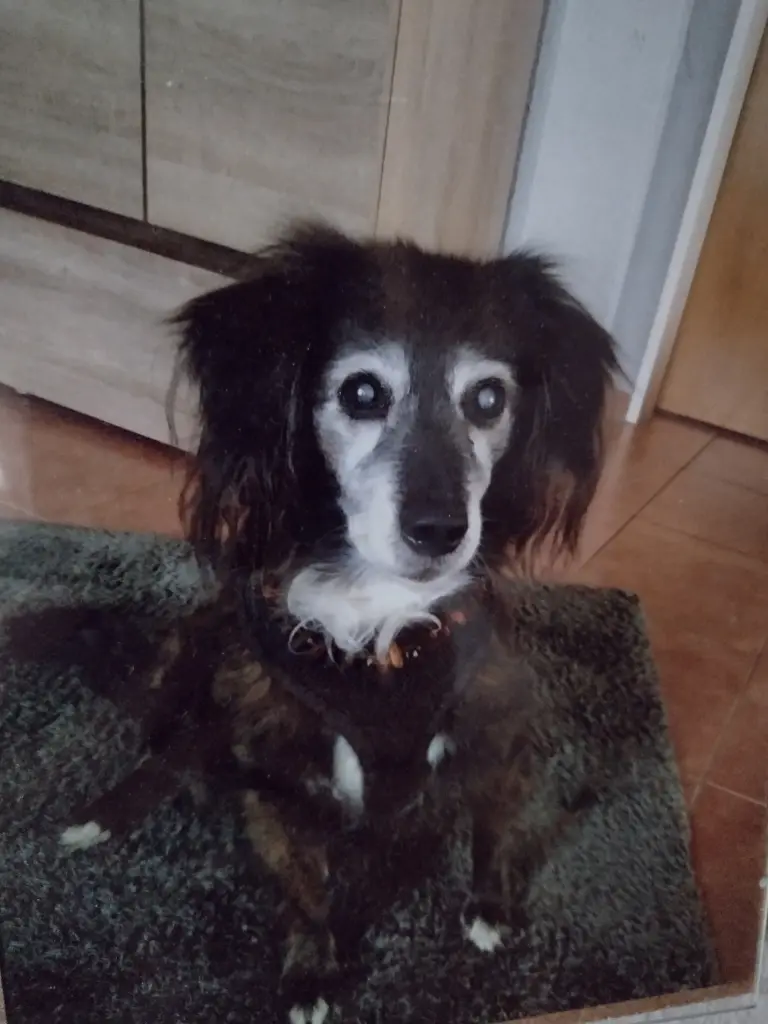 Andachtsbild von Beate mit Ella im ❤️