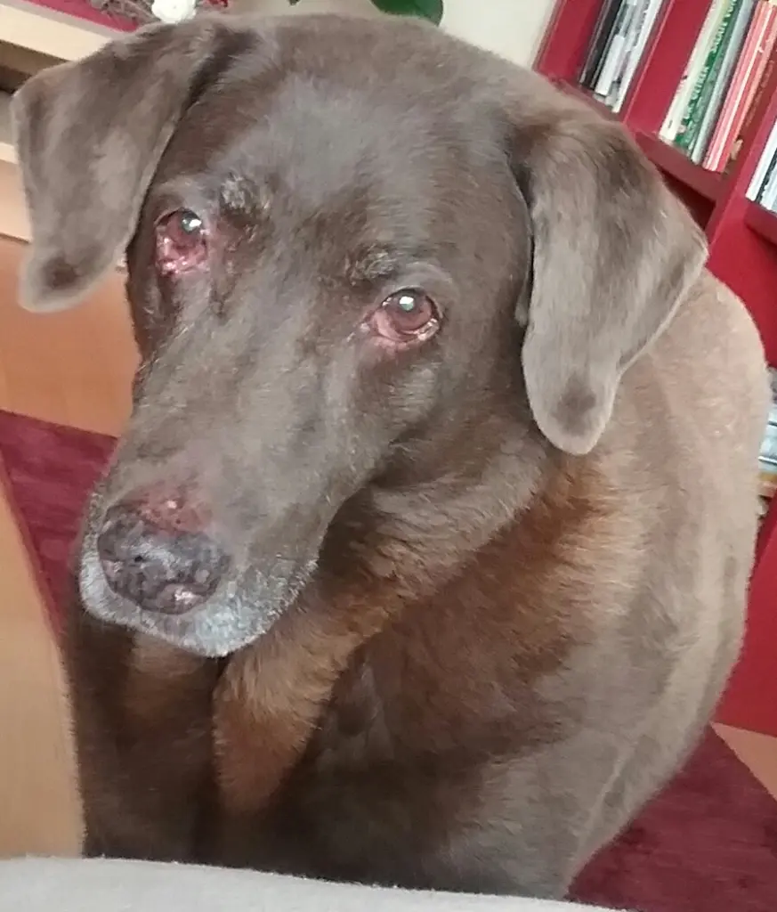 Condolence image of Margit