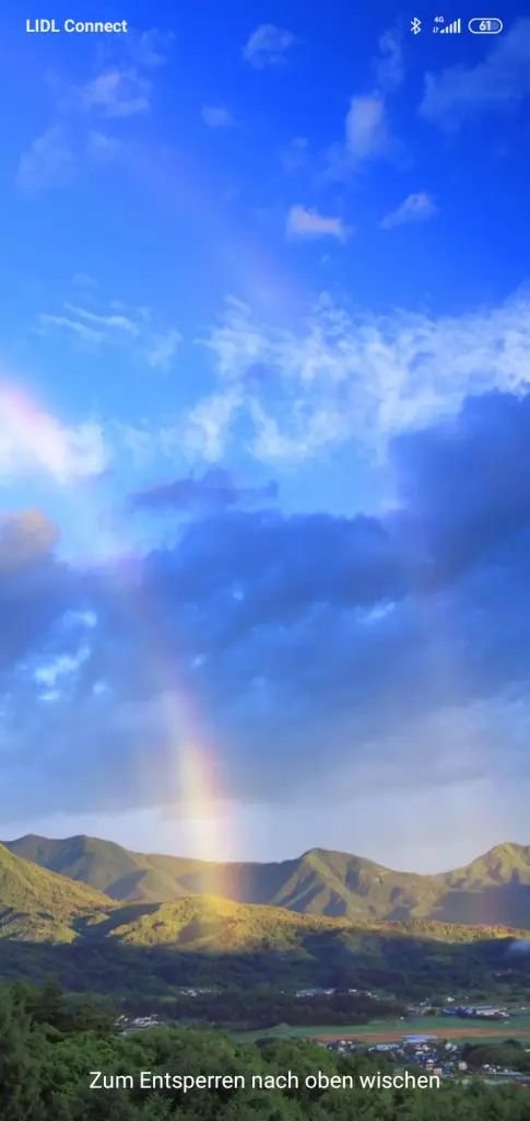 Andachtsbild von Erika