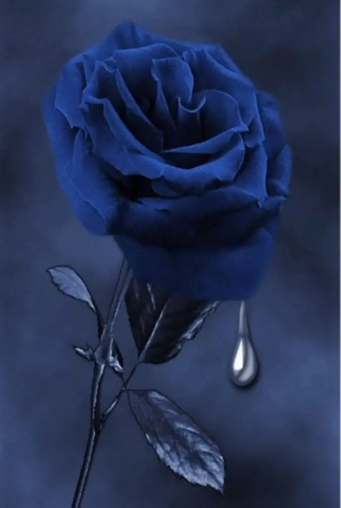 Condolence image of Sabine