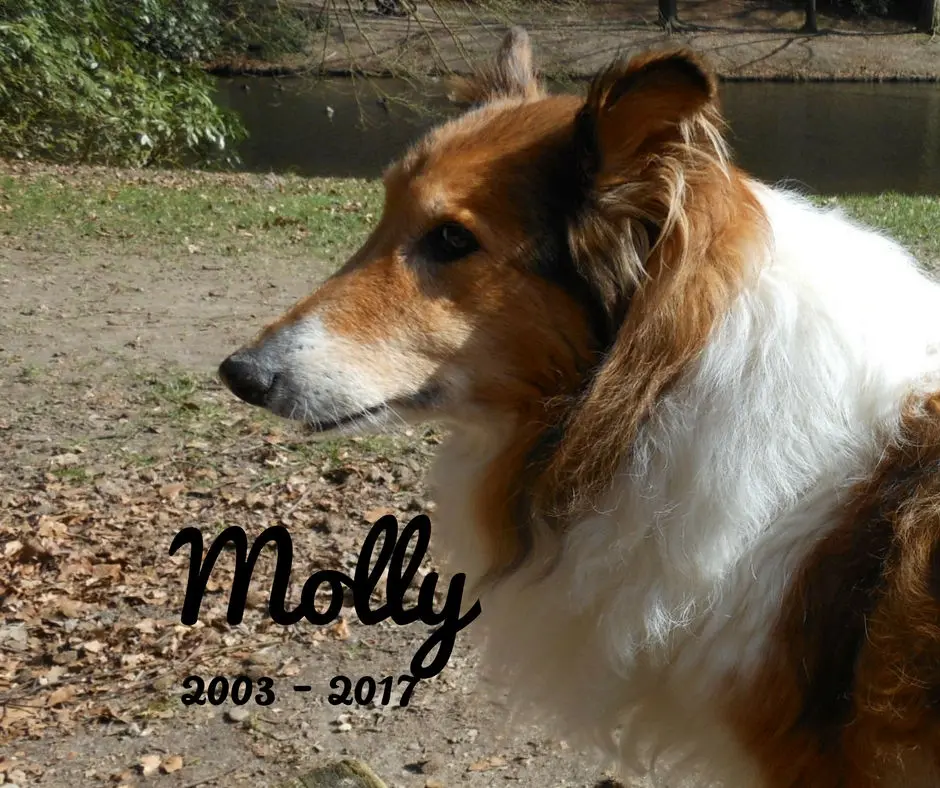 Image from Molly