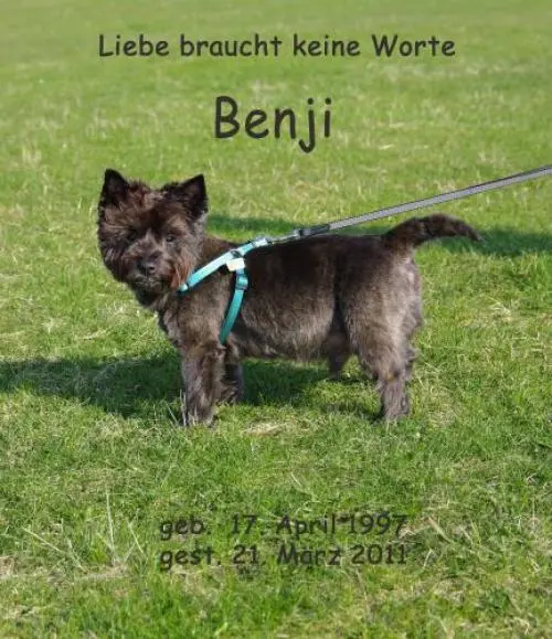 Image from Benji