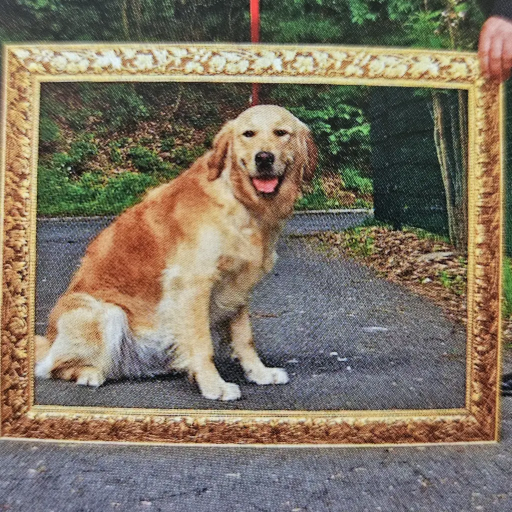 Image from Luna ⭐️❤️⭐️