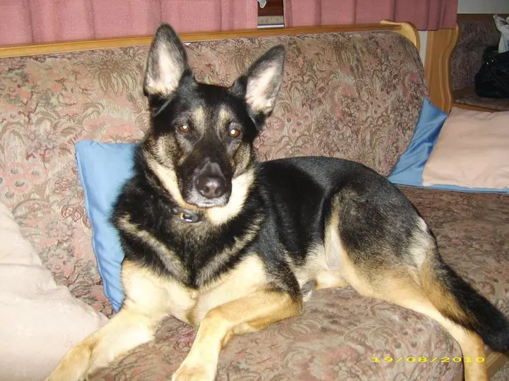 Image from Abilyne
